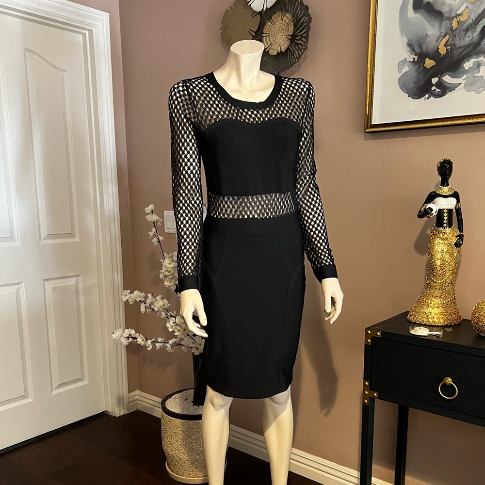 Chic Black Mesh Long Sleeve Dress